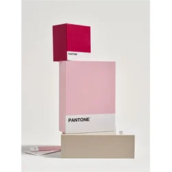 Sinsay - Kutija za odlaganje Pantone - roze