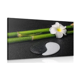 Slika spa tihožitje in kamni Jin in Jang - 60x40