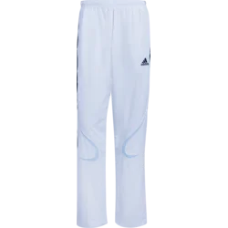adidas Hlače Teamgeist