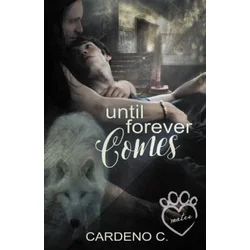 Until Forever Comes