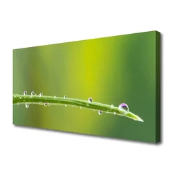 tulup.si Slika na platnu Dew drop na travi 100x50 cm