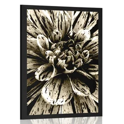 Plakat eksotična dalija v sepia varianti - 30x45 no frame