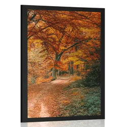 Plakat čudoviti jesenski gozd - 20x30 no frame