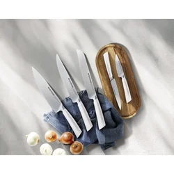 Mehrzer Set kuhinjskih noževa, German steel, Prochef - 5 kom ( 728883 )
