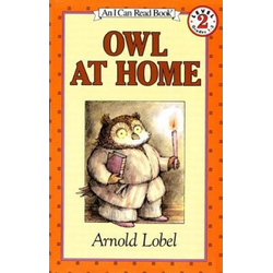 Owl at Home