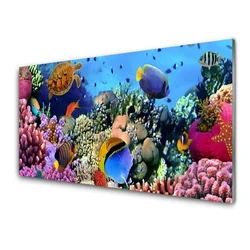 tulup.si Steklena slika Barrier reef narava 100x50 cm 2 obešalnika