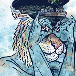 Sleeping People - NOTRUF (45 RPM) (12 EP)