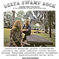 Various Artists - Delta Swamp Rock (Reissue) (2 LP)