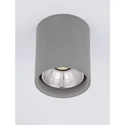 RITZ STROPNA SVJETILJKA SIVA LED 10 Watt 220-240Volt 1044lm 3000K IP65