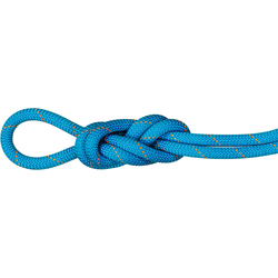 Mammut 9.9 Gym Workhorse Dry Rope