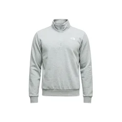THE NORTH FACE Majica EVOLUTION SIMPLE DOME pegasto siva