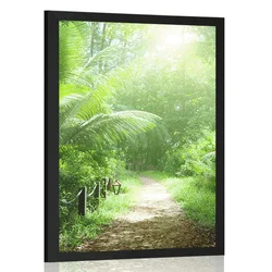 Plakat steza na Sejšelih - 60x90 black