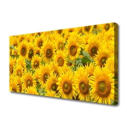 tulup.si Slika na platnu Sončnica rastlin narava 125x50 cm