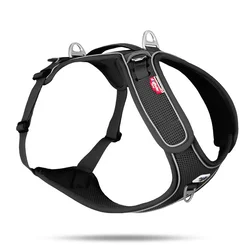 Curli oprsnica za pse Belka Adjustable Neck, črna