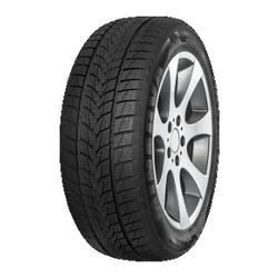Minerva Frostrack UHP ( 205/45 R17 88V XL )