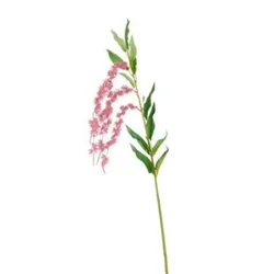 Amarant veštački pink 68cm dsy12