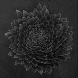 Jónsi - Obsidian (Black Gold Galaxy Coloured) (2 LP)