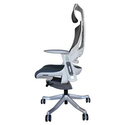 Pisarniški stol ERGOVISION iTrek 01, ergonomski, belo-siva