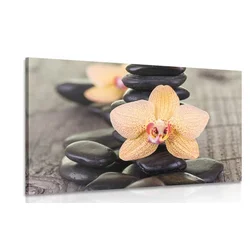 Slika rumena orhideja in Zen kamni - 30x20