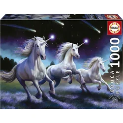 Educa Puzzle Falling stars 1000 kosov