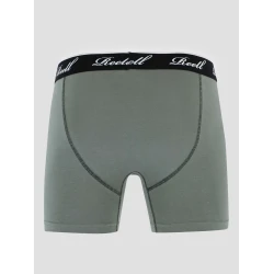 REELL Trunks Boksarice grey green