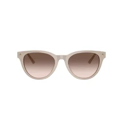 Jimmy Choo Naočare za sunce JC 5043D 50333B