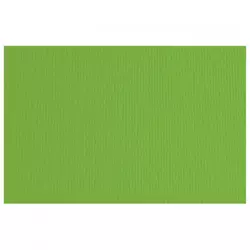Papir u boji B2 220g Elle Erre Fabriano 42450711 tamno zeleni (verde) pk20