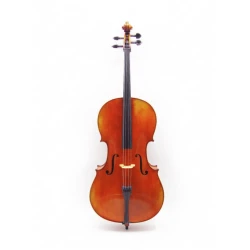 Violončelo 4/4 Model 2 Basic Strings