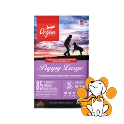 Orijen Puppy Large 11,4kg, Suva Hrana Bogata Proteinima za Velike Rase Pasa