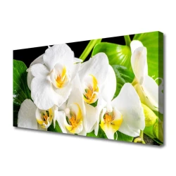 tulup.si Slika na platnu Orhideje narava 125x50 cm