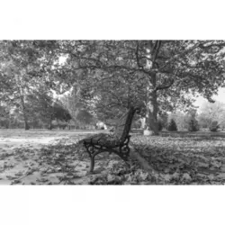 AM FOTO Park prijateljstva, jesenje nijanse - fotografija na platnu - BD91 B/W Beograd, Dan, Crno-Bela, 80 x 100