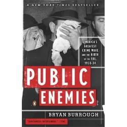 Public Enemies