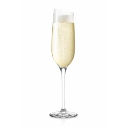 Kozarec za šampanjec Eva Solo Champagne 200 ml