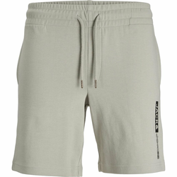 Jack & Jones JPSTFURY JJSHORTS ANA SN Chino Shorts vetiver/greige