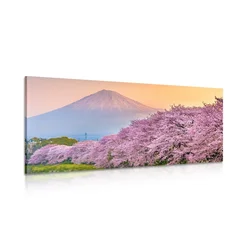 Slika čudovita Japonska - 140x70