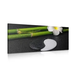 Slika spa tihožitje s simbolom Jin in Jang - 80x40