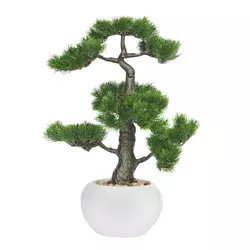 BONSAI
