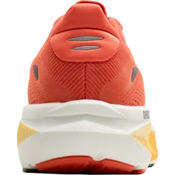 Brooks Ghost 18