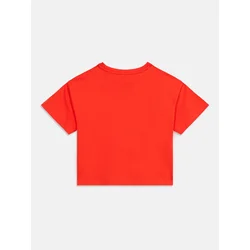 Calvin Klein Jeans Majica LVCKSJA16G Rdeča Boxy Fit