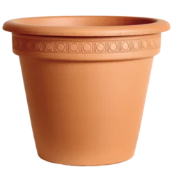 Saksija camellia 32cm