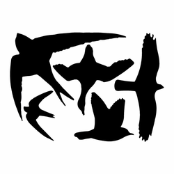 Komplet črnih okenskih nalepk Esschert Design Birds
