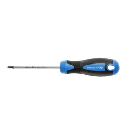 Hogert odvijač torx T40 100 mm ( HT1S059 )