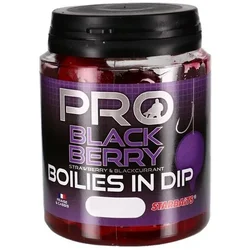 Starbaits Boilies in Dip Probiotic BLACKBERRY 24mm/150g