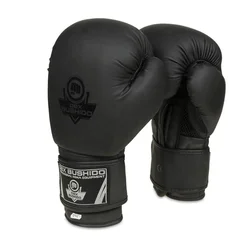DBX BUSHIDO boksarske rokavice DBX BUSHIDO B-2v12 6 oz.