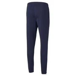 Puma Hlače teamRISE Poly Training Pants