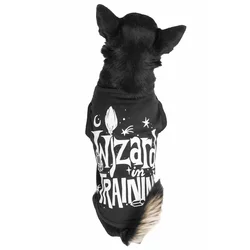 Pasja obleka KILLSTAR - Wizard In Training - Črna - KSRA004760