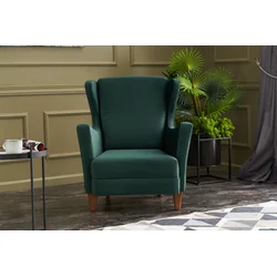 Lola Berjer - Green Green Wing Chair OŠTEĆENO VIZUELNO