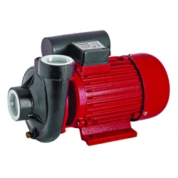 Vodena pumpa RD-2DK20 1500W 2 070105