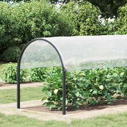 Pokrov za biljke *Transparent*an 2 x 12 m PE