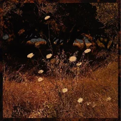 Szun Waves - Earth Patterns (LP)